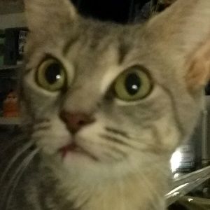 Meet your Posher, Gaby